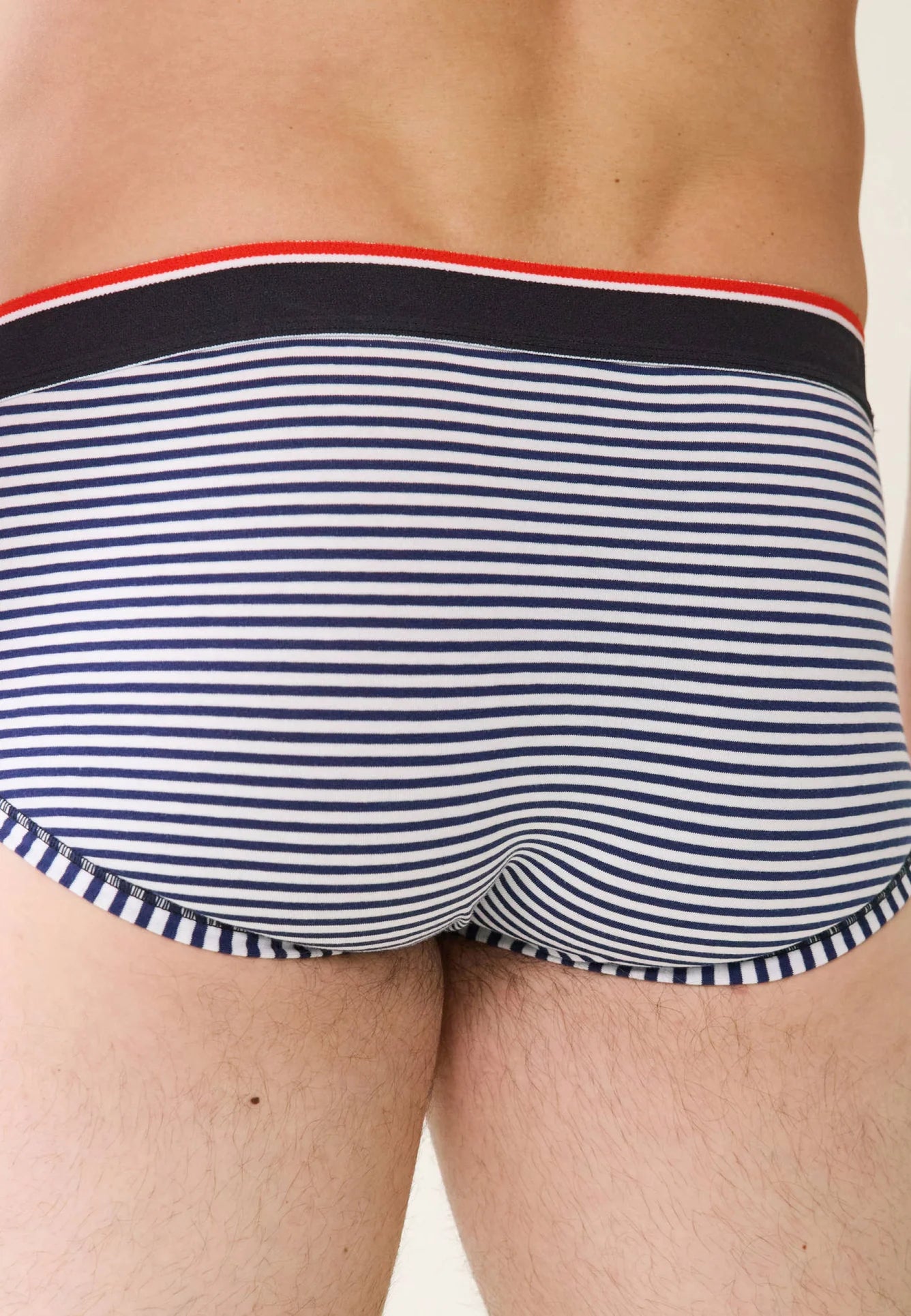 Cotton Briefs Le Slip Français - Terrible Sailor